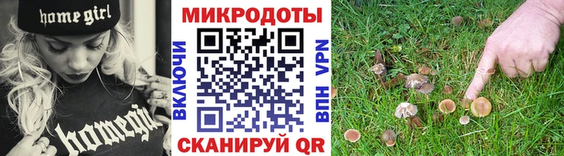 Псилоцибиновые грибы мухоморы  hydra сайт  Буинск 